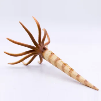 020 Nova Kolekcija Pretpovijesnih Životinja Ocean Ортоцерас Priroda Obrazovni Model PVC Plastična Figurica #88903
