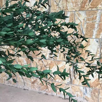 80 g/Dekorativne suhog cvijeća, Očuvana Buket od eukaliptusa Тонколистного, Zimzelena Lišće Eukaliptusa камальдуленского, Гирлянда Za Dom